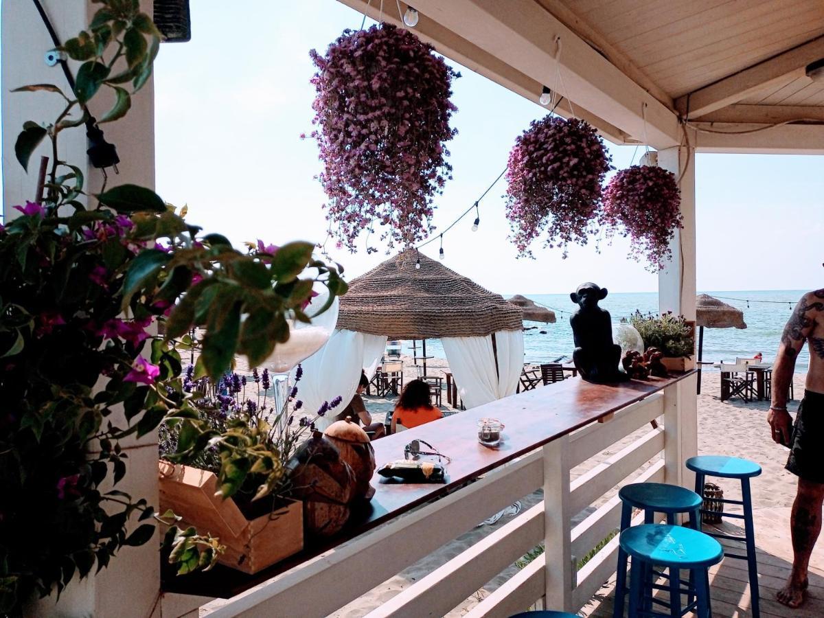 B&B Purple Italy Fiumicino Exterior photo